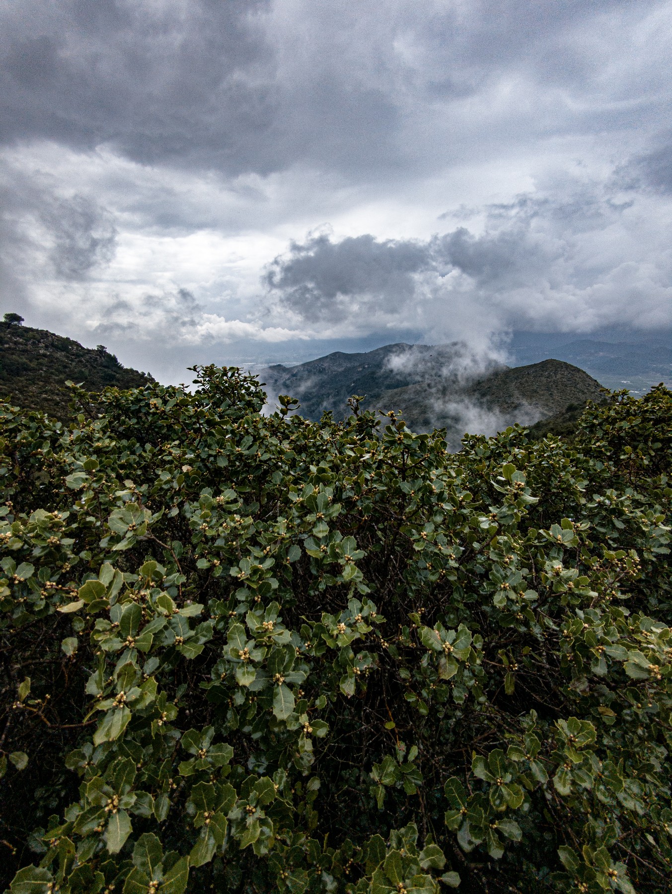 Local hiking Marxuquera